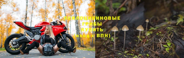 крисы Беломорск