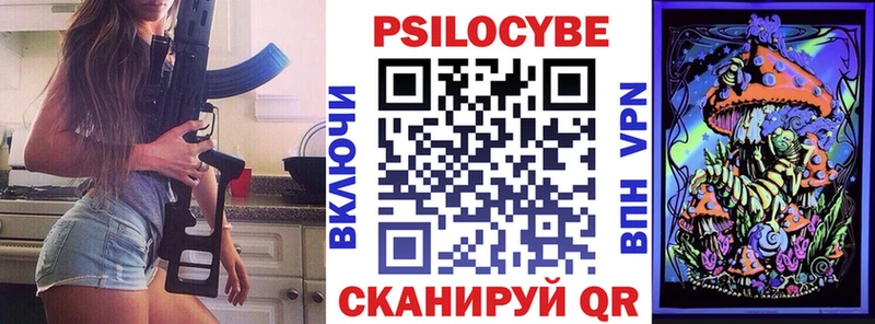 OMG маркетплейс  Сортавала  Псилоцибиновые грибы Psilocybine cubensis 