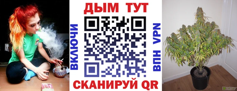 Канабис MAZAR  купить наркотик  Сортавала 
